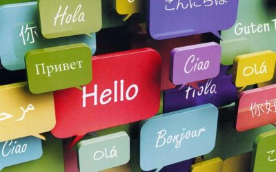 Consultoria em idiomas: conheça os cursos oferecidos pela Hippo Business