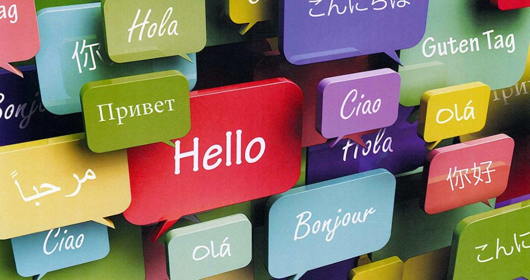 Consultoria em idiomas: conheça os cursos oferecidos pela Hippo Business